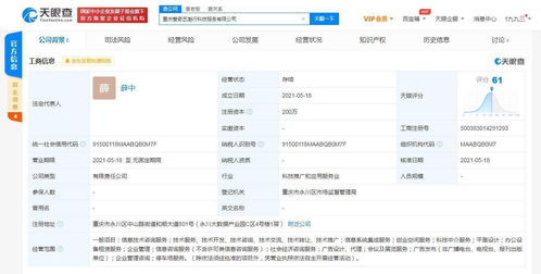 愛(ài)奇藝在重慶成立科技公司，拓展創(chuàng)業(yè)空間與信息系統(tǒng)集成服務(wù)